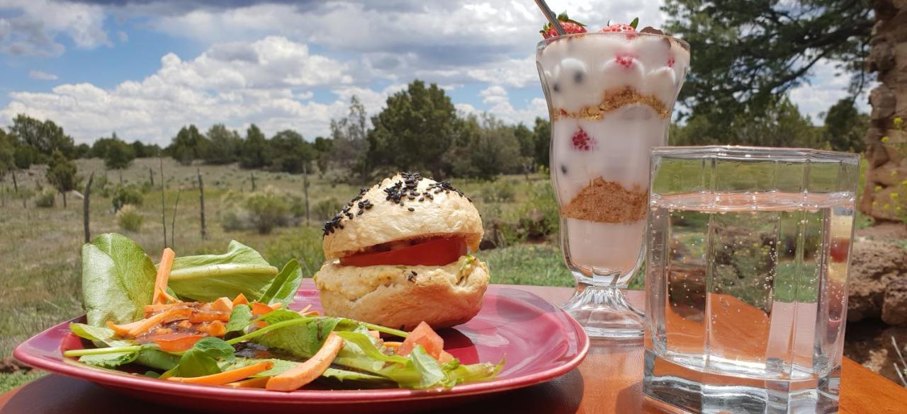 ラマー  Mountain Harmony Retreat Bed & Breakfast エクステリア 写真